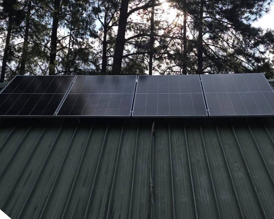 Panels on a dark green roof among pine trees